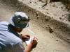 drawing-cougar-tracks