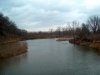 elm-fork